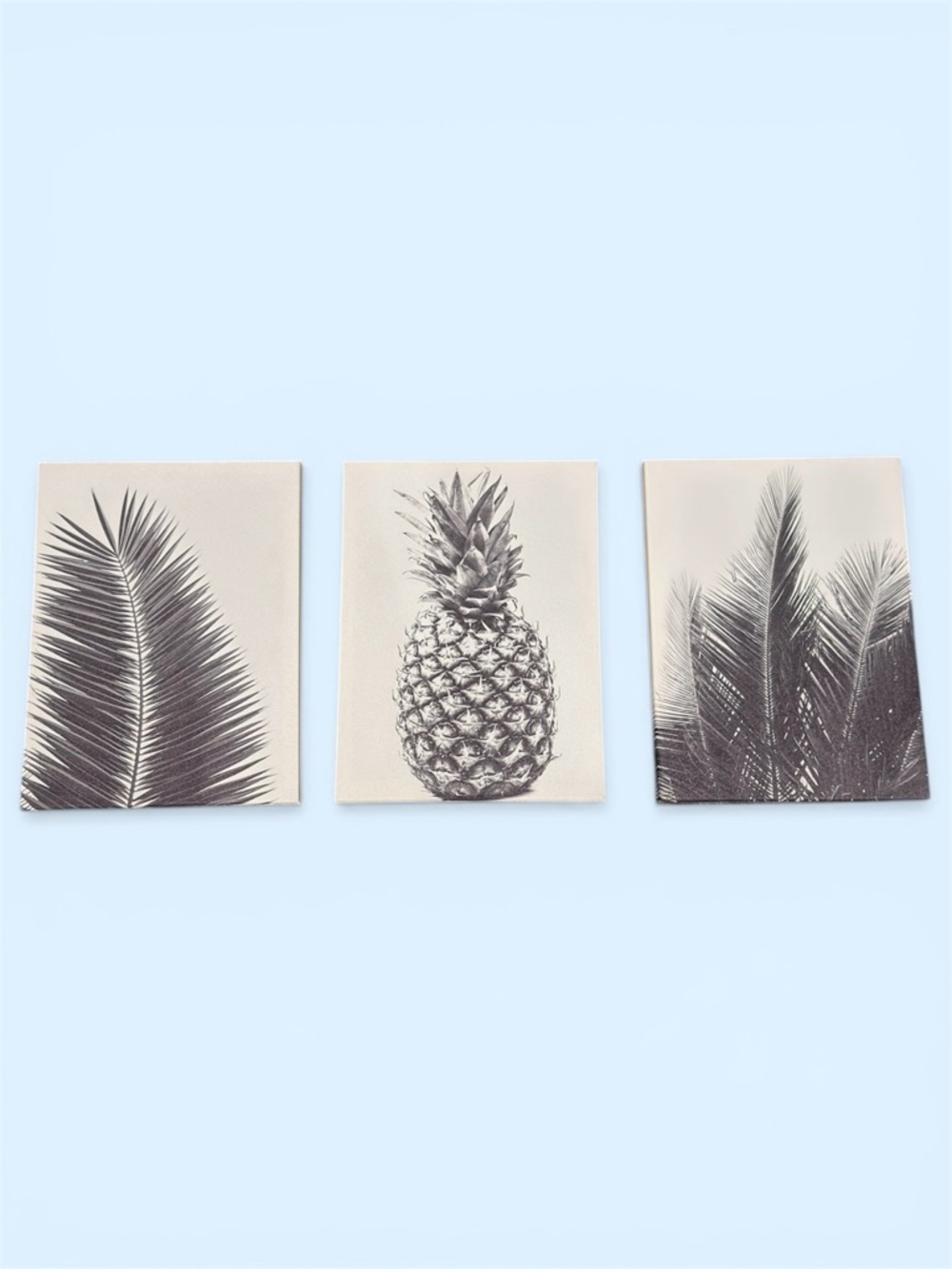 Black & White Tropical Canvas Wall Art Trio